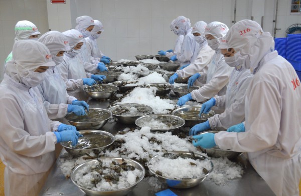 Cà Mau: Doanh nghiệp thưởng tết cao nhất 36 triệu đồng Cà Mau: Doanh nghiệp thưởng tết cao nhất 36 triệu đồng