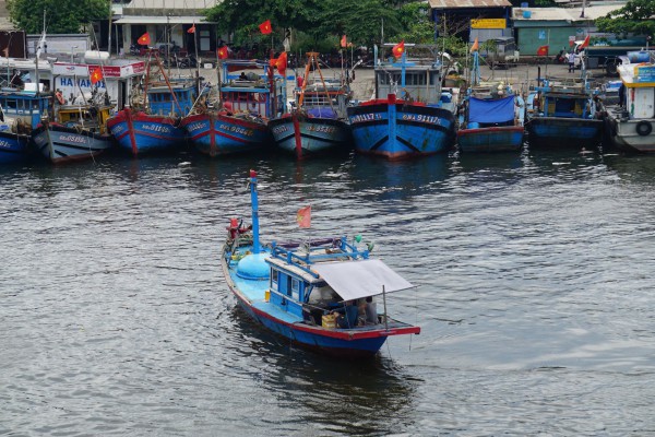 Đà Nẵng thiếu lao động nghề cá