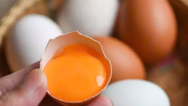 Đừng bỏ lòng đỏ trứng nếu bạn biết được sự thật này Đừng bỏ lòng đỏ trứng nếu bạn biết được sự thật này