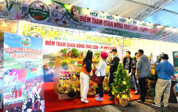 Thưởng thức buffet rau củ miễn phí tại phiên chợ rau hoa Đà Lạt Thưởng thức buffet rau củ miễn phí tại phiên chợ rau hoa Đà Lạt