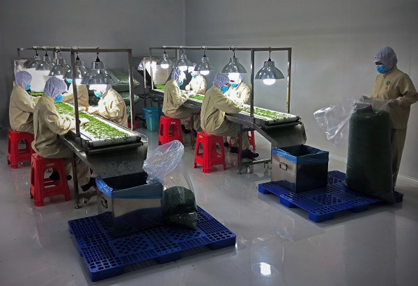 Trà Vinh: Thưởng tết cao nhất 280 triệu đồng Trà Vinh: Thưởng tết cao nhất 280 triệu đồng