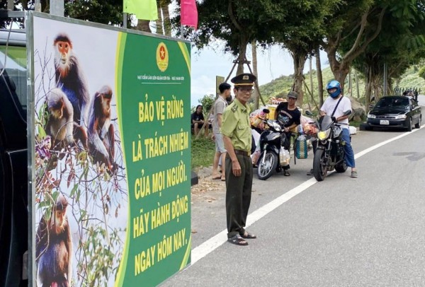 Trạm kiểm soát bán đảo Sơn Trà dùng mã QR tuyên truyền 'không cho khỉ ăn'