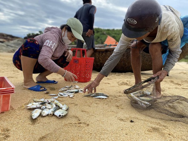 Mưu sinh trên biển Sa Huỳnh