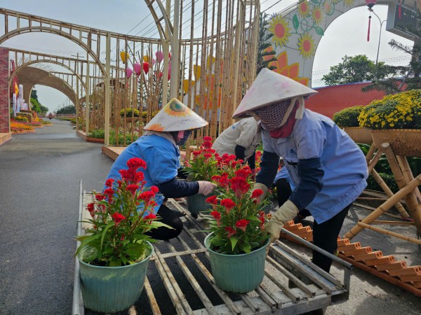 Chủ tịch Xuyên Mộc giải nghĩa linh vật hổ mang chúa đội nón lá