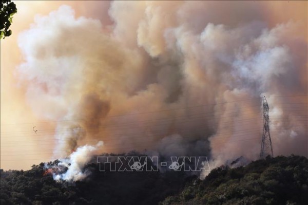 31.000 người phải sơ tán do bùng phát đám cháy rừng mới tại Los Angeles