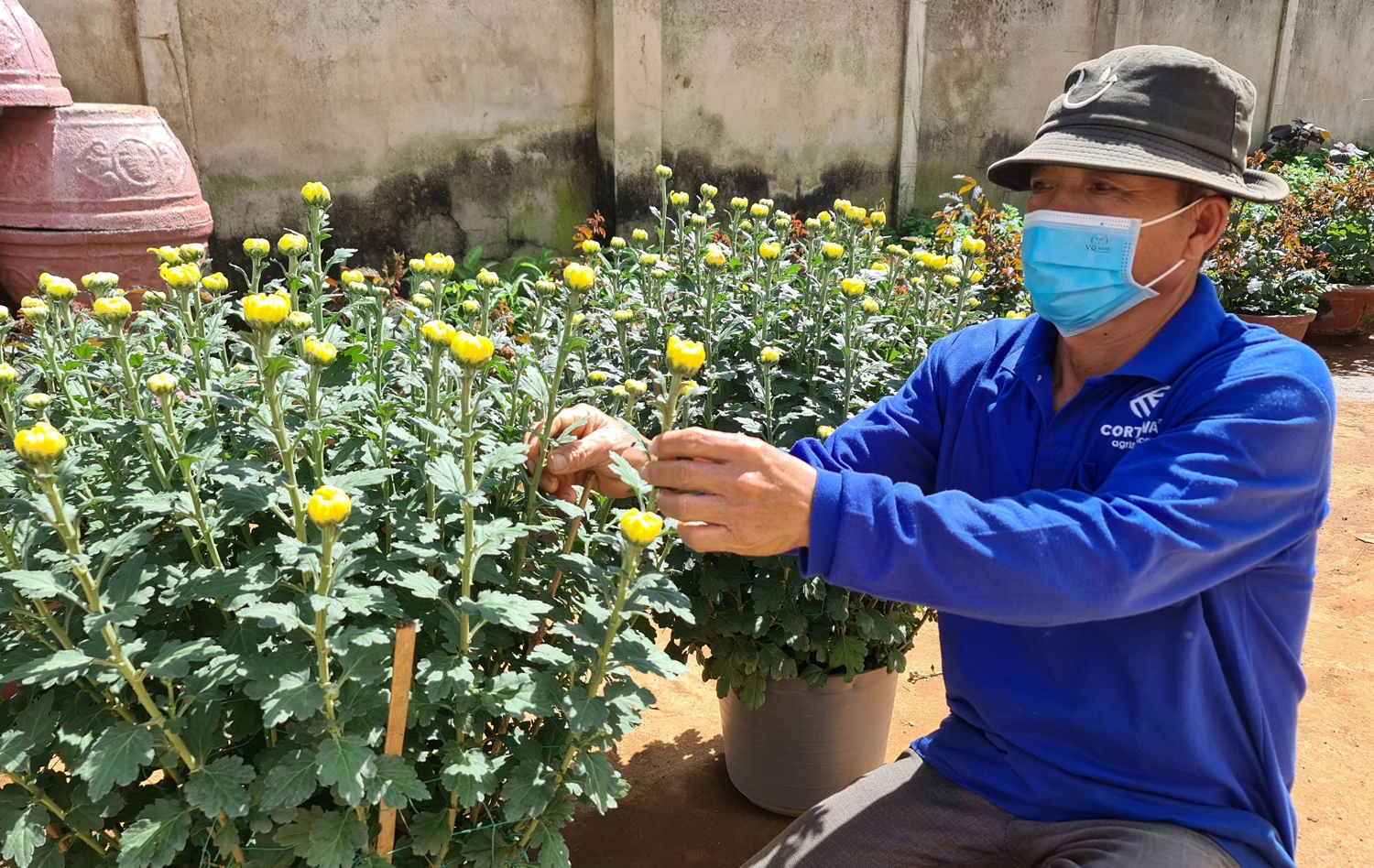 Giả thương lái mua hoa tết, lừa đảo chiếm đoạt tài sản nông dân