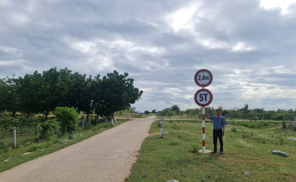 Nông dân Ninh Thuận gặp khó khi 'vướng' tải trọng đường vận chuyển mía đường Nông dân Ninh Thuận gặp khó khi 'vướng' tải trọng đường vận chuyển mía đường
