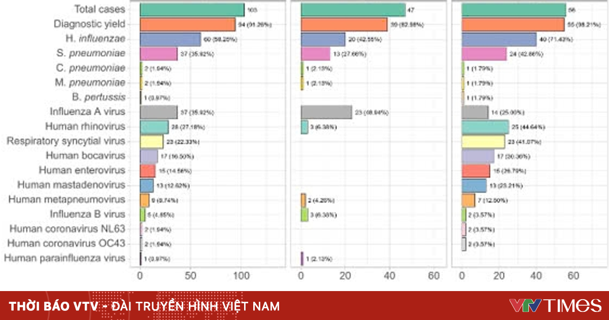 Sở Y tế TP Hồ Chí Minh: HMPV không phải là virus mới, từng được phát hiện trong các năm 2023 và 2024