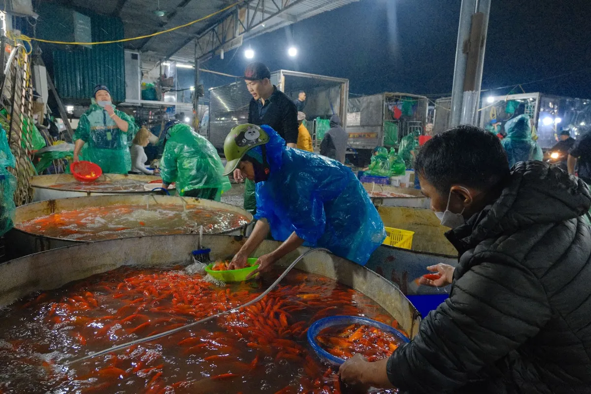 Tấp nập chợ cá Yên Sở ngày Tết Ông Công, Ông Táo - Ảnh 5.