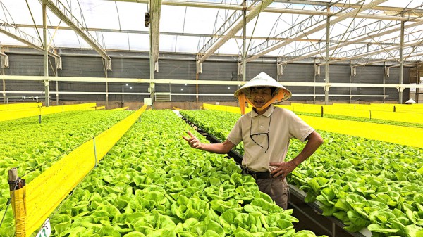 Ứng dụng chuyển đổi số trồng rau xuất khẩu Ứng dụng chuyển đổi số trồng rau xuất khẩu