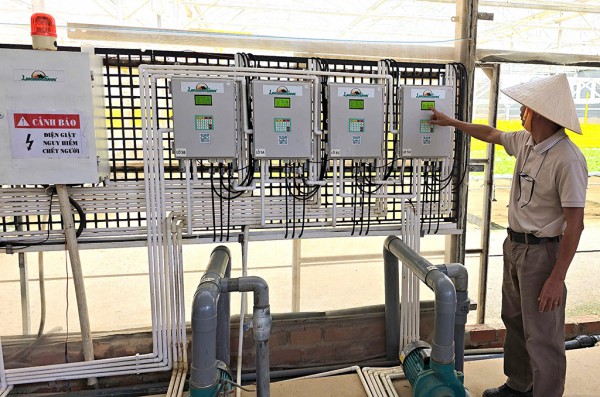 Ứng dụng chuyển đổi số trồng rau xuất khẩu Ứng dụng chuyển đổi số trồng rau xuất khẩu