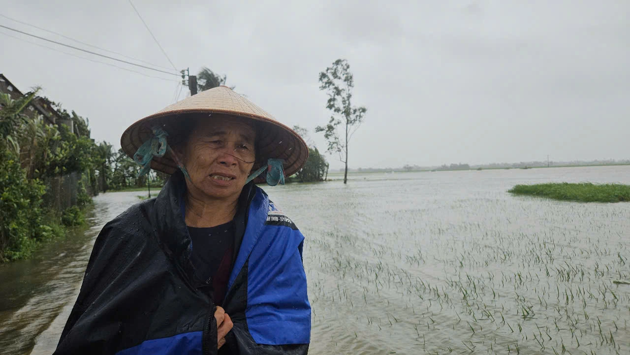 Hơn 4.250 ha lúa, hoa màu ở Phú Yên bị hư hại do mưa lũ bất thường