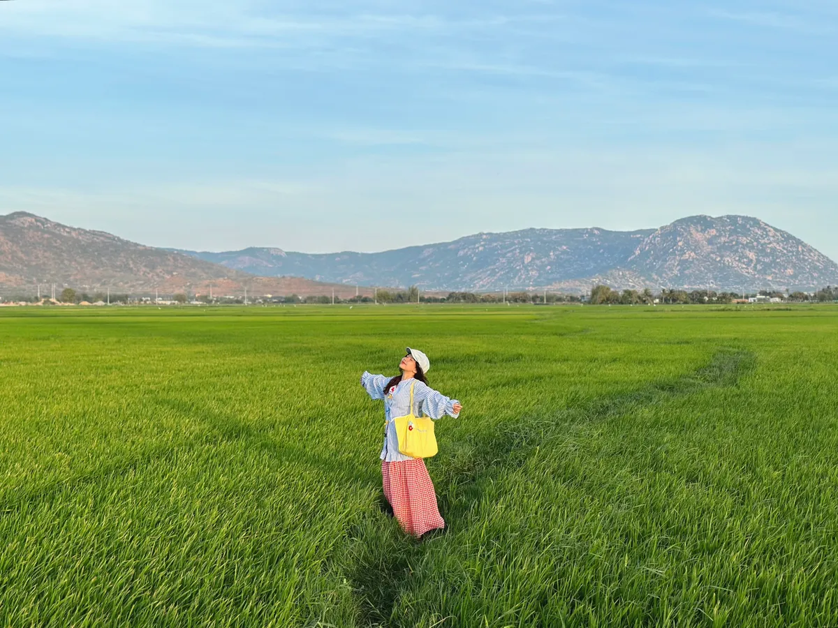 Cánh đồng điện gió ở Ninh Thuận có gì mà hút khách đến thế?