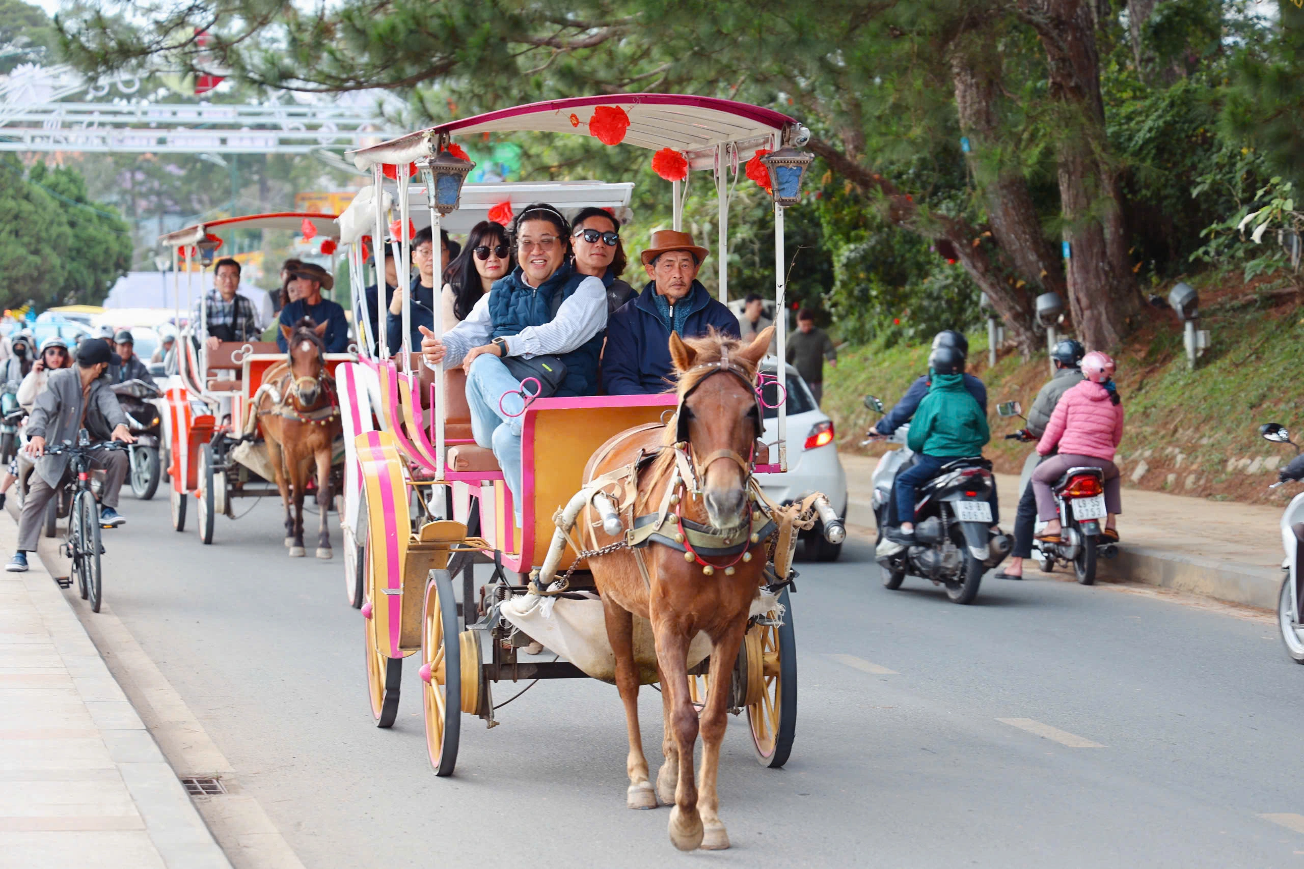 Đà Lạt tiếp tục cấm xe ngựa chở du khách quanh hồ Xuân Hương