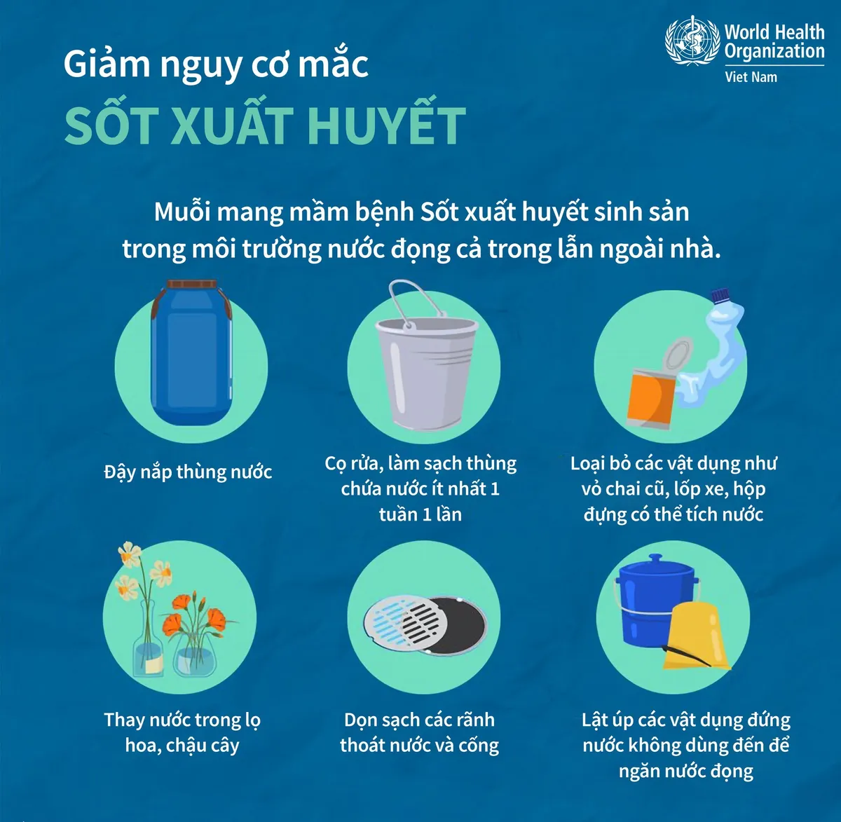 Infographic: Triệu chứng sốt xuất huyết trở nặng - Ảnh 3. Infographic: Triệu chứng sốt xuất huyết trở nặng - Ảnh 3.