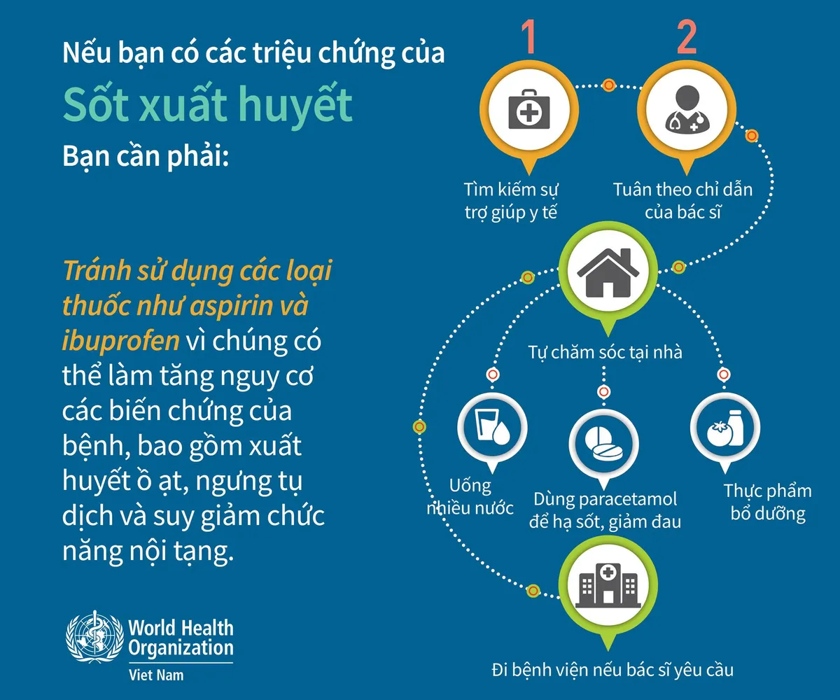 Infographic: Triệu chứng sốt xuất huyết trở nặng - Ảnh 4. Infographic: Triệu chứng sốt xuất huyết trở nặng - Ảnh 4.