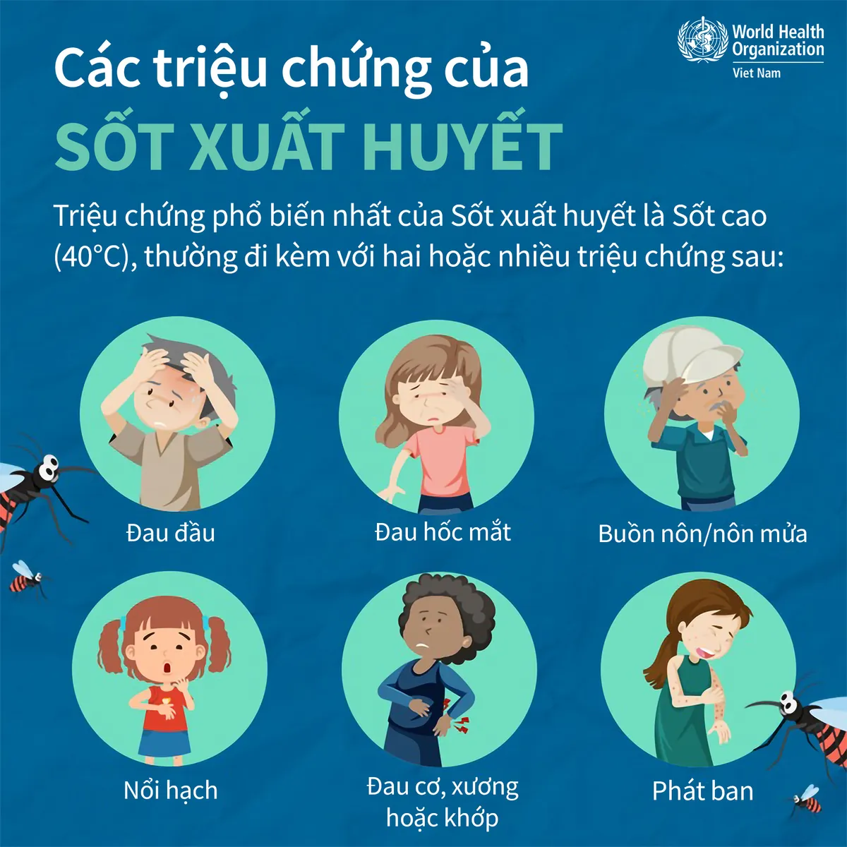 Infographic: Triệu chứng sốt xuất huyết trở nặng - Ảnh 1. Infographic: Triệu chứng sốt xuất huyết trở nặng - Ảnh 1.