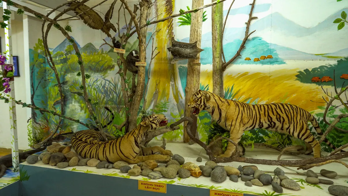 Trải nghiệm thiên nhiên Tây Nguyên kỳ thú tại Bảo tàng Sinh học - Ảnh 1.
