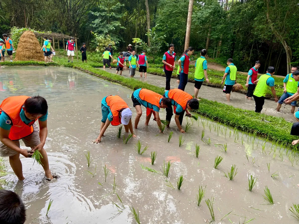 Địa đạo Củ Chi: Nơi lịch sử sống lại với những trải nghiệm hấp dẫn - Ảnh 8. Địa đạo Củ Chi: Nơi lịch sử sống lại với những trải nghiệm hấp dẫn - Ảnh 8.