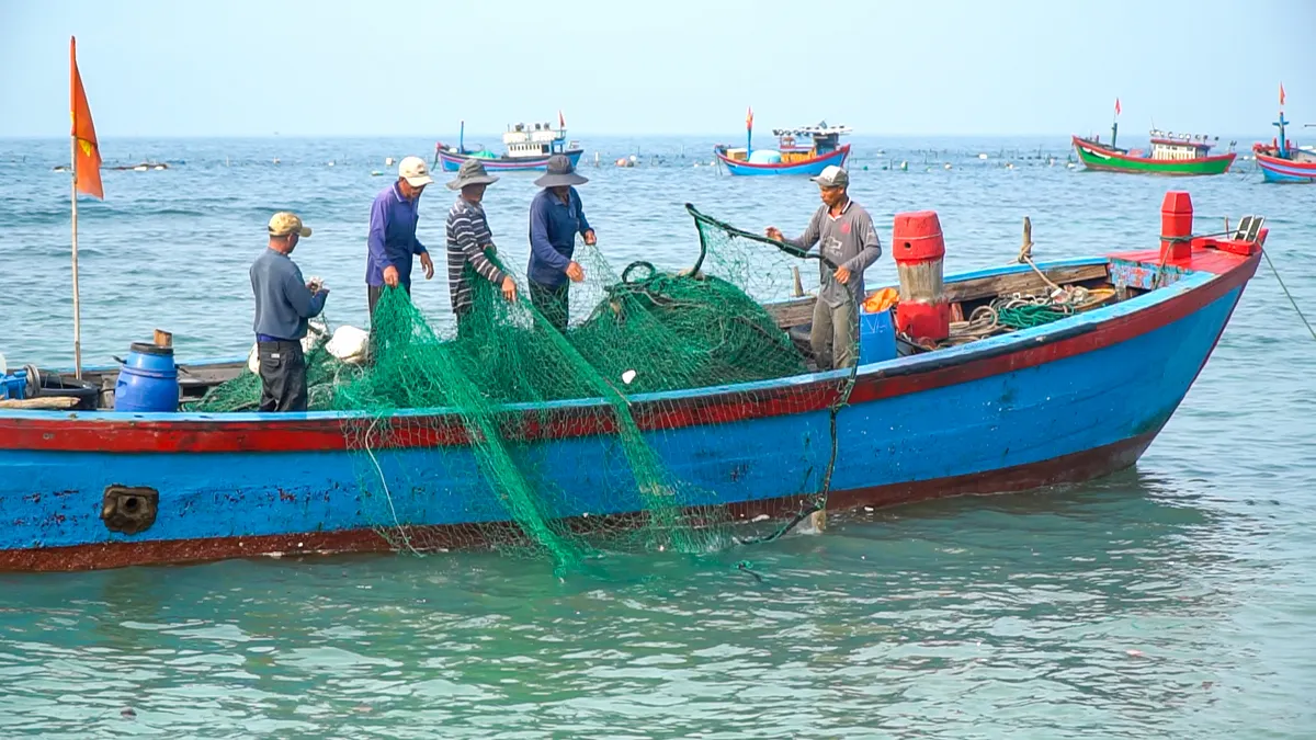 Cù Lao Xanh - Hòn đảo bình yên giữa biển khơi - Ảnh 5.
