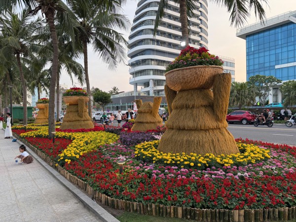 Đường ven biển hóa đường hoa, người người nô nức check-in