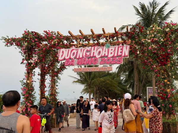 Đường ven biển hóa đường hoa, người người nô nức check-in