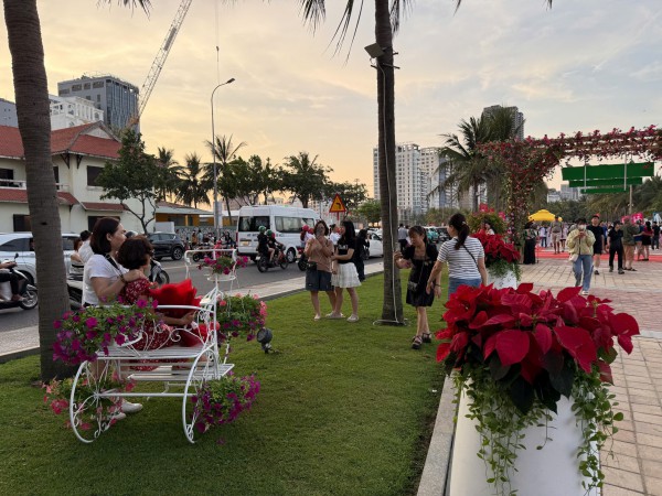 Đường ven biển hóa đường hoa, người người nô nức check-in