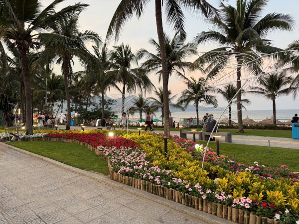 Đường ven biển hóa đường hoa, người người nô nức check-in