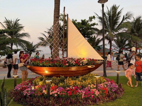 Đường ven biển hóa đường hoa, người người nô nức check-in