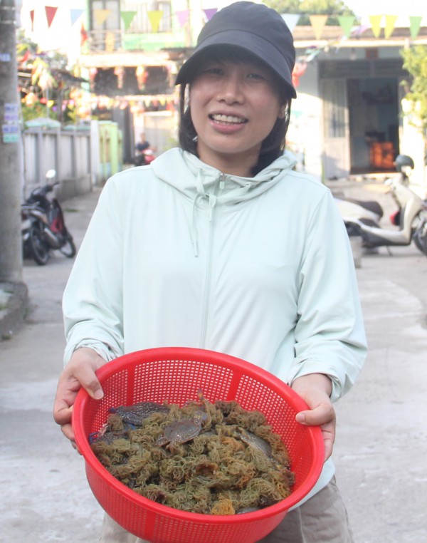Kỳ lạ loài 'thỏ biển' đẻ ra bún, món ngon khiến thực khách thích mê Kỳ lạ loài 'thỏ biển' đẻ ra bún, món ngon khiến thực khách thích mê