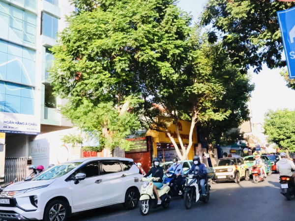 Sống ở TP.HCM: Những con đường lịch sử giữa lòng thành phố