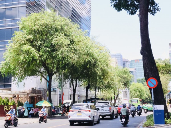 Sống ở TP.HCM: Những con đường lịch sử giữa lòng thành phố