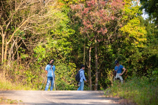Lên bán đảo Sơn Trà mùa thay lá, ngắm 'nữ hoàng linh trưởng' đi kiếm ăn Lên bán đảo Sơn Trà mùa thay lá, ngắm 'nữ hoàng linh trưởng' đi kiếm ăn