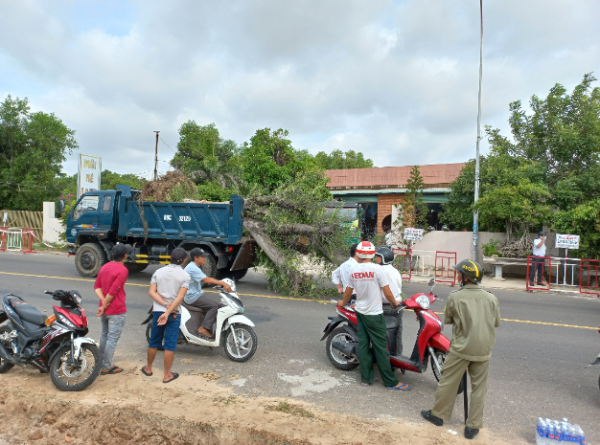Bình Thuận: Vì sao Chủ tịch UBND P.Mũi Né bị yêu cầu đình chỉ chức vụ? Bình Thuận: Vì sao Chủ tịch UBND P.Mũi Né bị yêu cầu đình chỉ chức vụ?