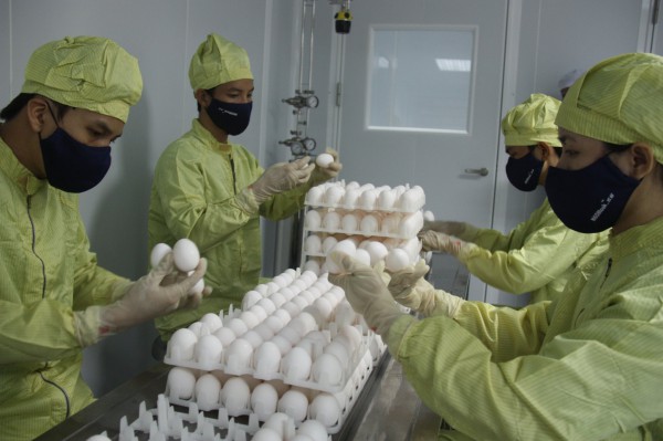 Vắc xin cúm mùa 3 chủng: Xu hướng và lợi ích Vắc xin cúm mùa 3 chủng: Xu hướng và lợi ích