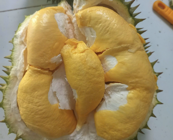Sầu riêng xanh rụng sớm, chàng trai nấu canh, chiên giòn: Dân mạng thắc mắc hương vị Sầu riêng xanh rụng sớm, chàng trai nấu canh, chiên giòn: Dân mạng thắc mắc hương vị