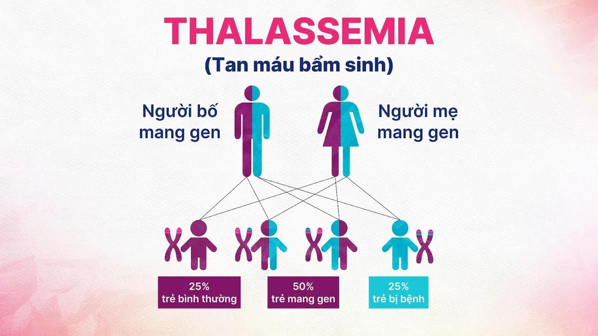 Chung tay vì một Việt Nam không còn Thalassemia - Ảnh 2. Chung tay vì một Việt Nam không còn Thalassemia - Ảnh 2.