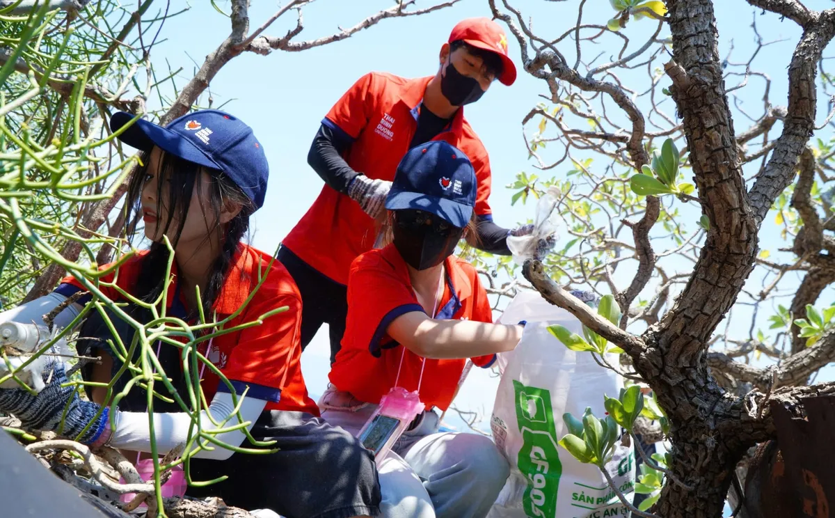 Nha Trang: Tuổi trẻ xung kích vì Vịnh biển xanh – Thả cá, nhặt rác, lan tỏa ý thức - Ảnh 4. Nha Trang: Tuổi trẻ xung kích vì Vịnh biển xanh – Thả cá, nhặt rác, lan tỏa ý thức - Ảnh 4.