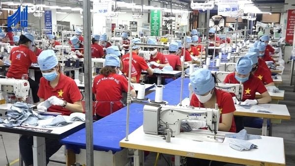 Doanh nghiệp là “cỗ máy kiến tạo giá trị” và “tế bào” của nền kinh tế
