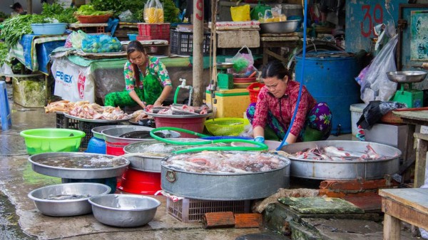 Du khách nước ngoài khen nơi này đẹp nhất bên dòng Cửu Long Du khách nước ngoài khen nơi này đẹp nhất bên dòng Cửu Long