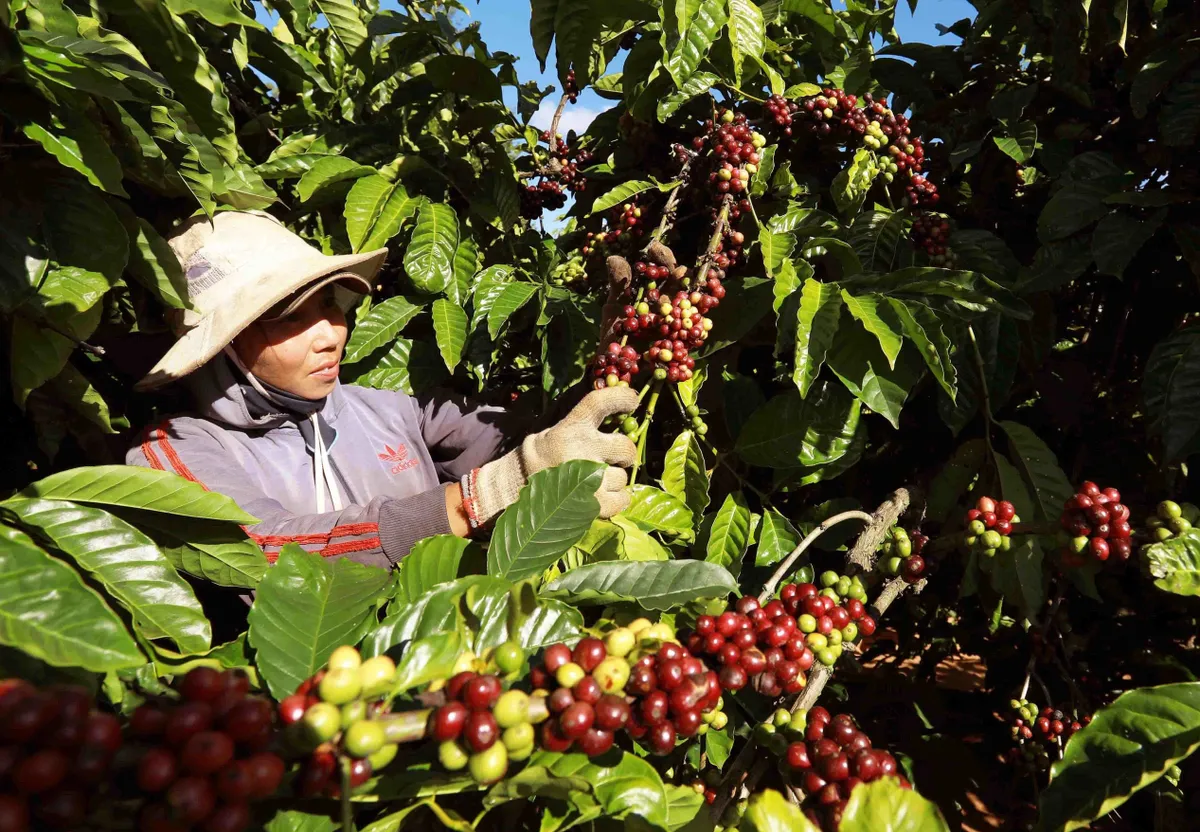 GDP tăng trên 8%: Mục tiêu cao, nỗ lực lớn - Ảnh 1. GDP tăng trên 8%: Mục tiêu cao, nỗ lực lớn - Ảnh 1.