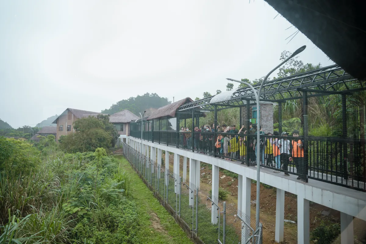 Du lịch gắn với bảo tồn động vật hoang dã - Ảnh 2. Du lịch gắn với bảo tồn động vật hoang dã - Ảnh 2.