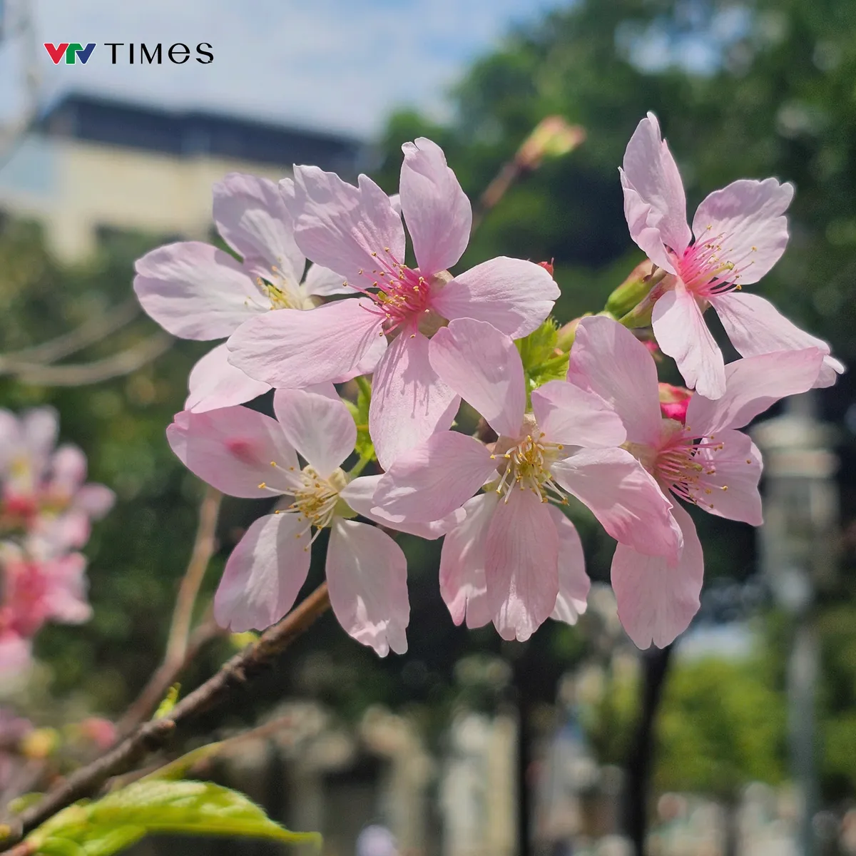 5 điều không thể bỏ lỡ khi đến Đài Bắc (Đài Loan, Trung Quốc) - Ảnh 9. 5 điều không thể bỏ lỡ khi đến Đài Bắc (Đài Loan, Trung Quốc) - Ảnh 9.