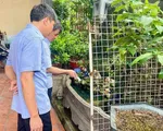 Hà Nội ra quân phòng chống sốt xuất huyết, hưởng ứng Ngày ASEAN lần thứ 15