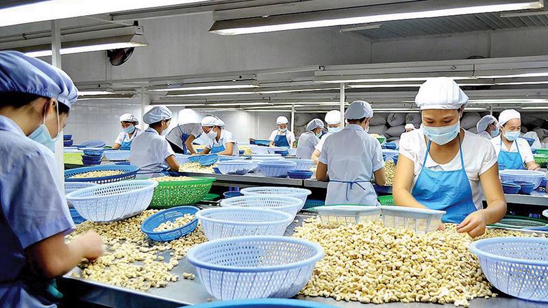 Hỗ trợ vốn cho doanh nghiệp xuất khẩu - Ảnh 1. Hỗ trợ vốn cho doanh nghiệp xuất khẩu - Ảnh 1.