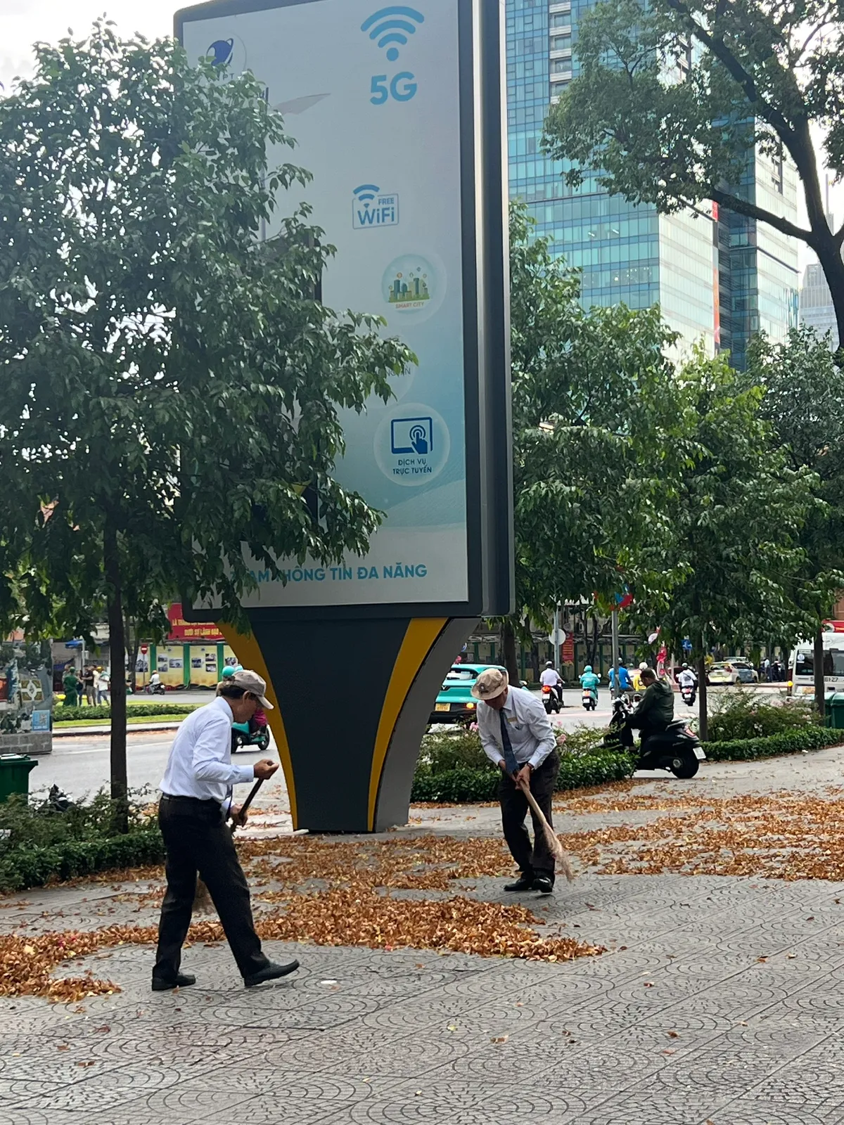 Mùa hoa dầu bay - ký ức trên những con đường Sài Gòn xưa. - Ảnh 6. Mùa hoa dầu bay - ký ức trên những con đường Sài Gòn xưa. - Ảnh 6.