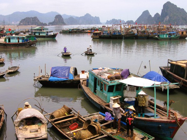 13 đặc khu của Việt Nam: Vân Đồn - Đặc khu làm kinh tế 13 đặc khu của Việt Nam: Vân Đồn - Đặc khu làm kinh tế