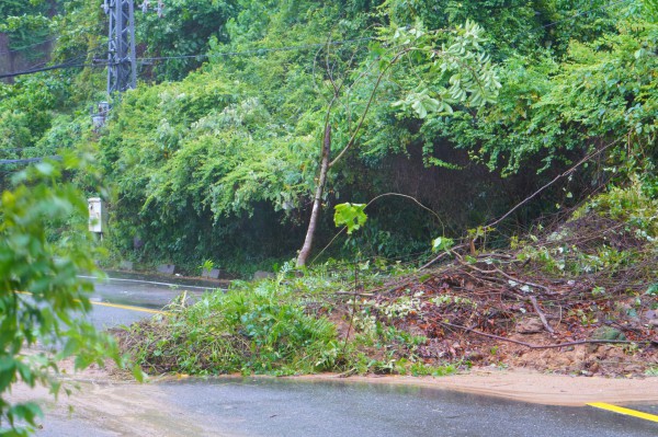 Bão số 1: Bán đảo Sơn Trà xuất hiện nhiều điểm sạt lở nguy hiểm