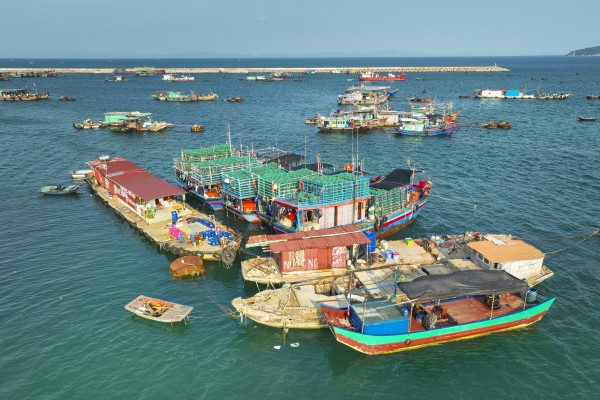 Các đặc khu của Việt Nam: Cô Tô - Phên dậu Vịnh Bắc Bộ