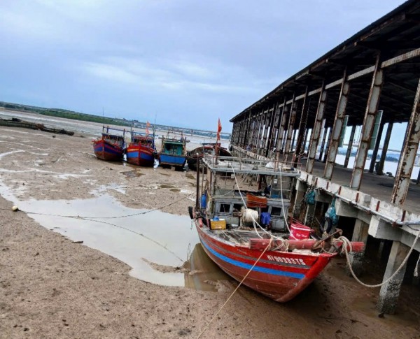 Đầu tư hàng trăm tỉ, cảng cá vẫn không 'đón' được tàu Đầu tư hàng trăm tỉ, cảng cá vẫn không 'đón' được tàu
